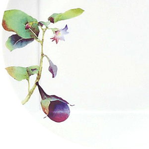 四季彩舞曲 21cmスクエアプレート揃(絵変り6枚) | ノリタケ食器公式