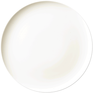 中国　青花　山水文盤　皿　直径約24.5cm　皿立付　V　R6420B 萬古焼の水盤花器 2寸6分皿 | 花器と道具 | 日本総合園芸