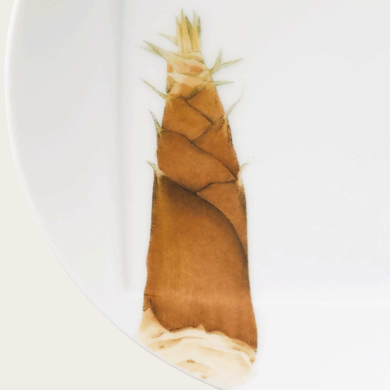 京香旬彩 15.5cmプレートセット(5枚)(絵変り) | ノリタケ食器公式